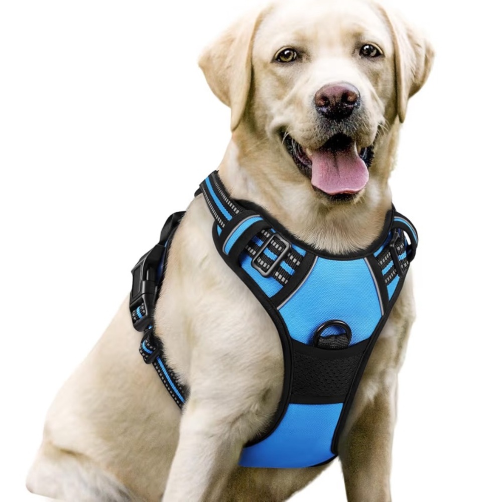 Blue Dog Harness and Leash Set